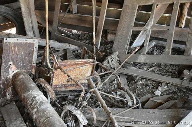 The Cats Meow photo 5