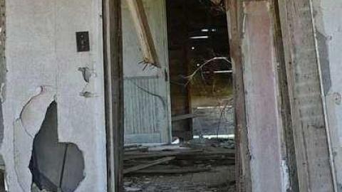 First Visit - DSC_0893.jpg