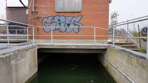 Spring Morning - Water-Treatment-Plant66.jpg