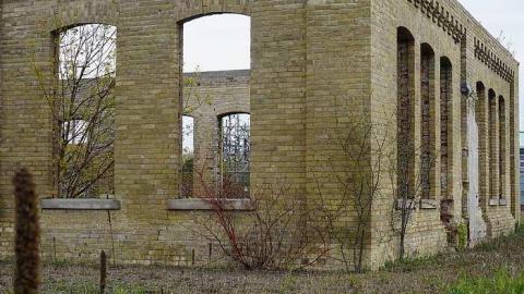 Spring Visit - Brick-Skeleton43.jpg