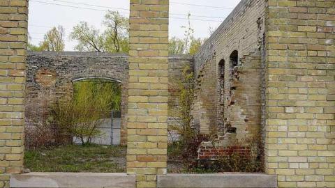 Spring Visit - Brick-Skeleton47.jpg