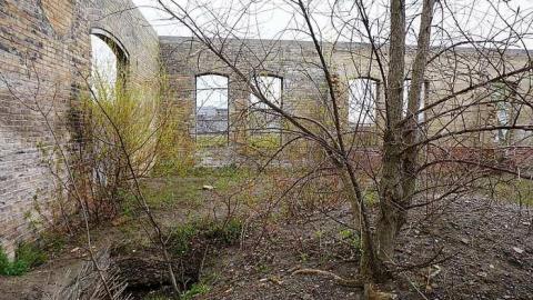 Photo from Spring Visit