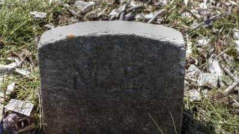 Batson Cemetery - Batson-Pioneer-Cemetery41.jpg