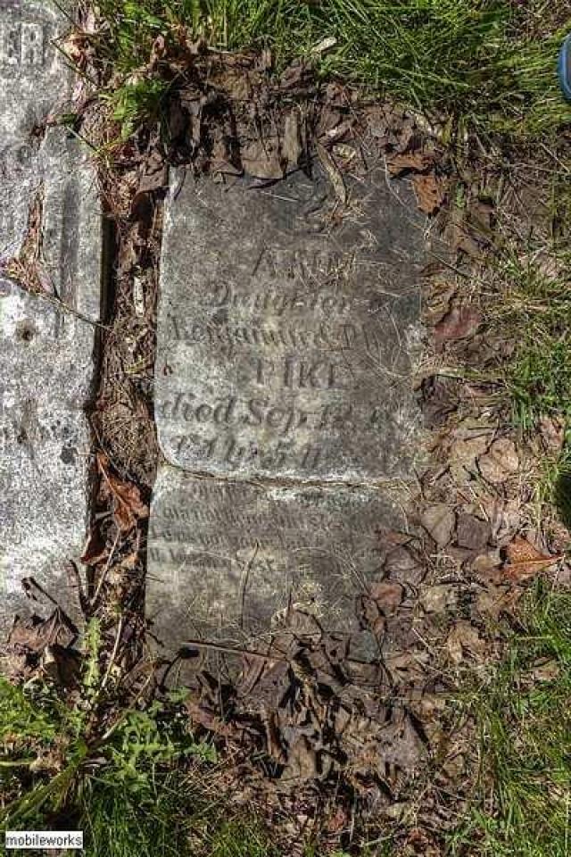 Tranquility Pioneer Cemetery photo 3