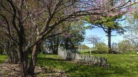 Time Standing Still - Tranquility-Pioneer-Cemetery53.jpg