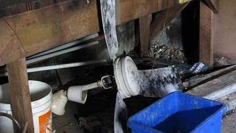 This & That - 56.jpg