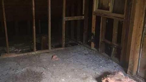 Photo from Left To The Vultures