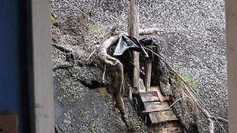 Collapsible Living - Television-Keene-TwoForOne32.jpg