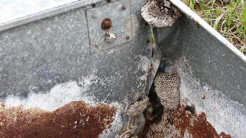 Collapsible Living - Television-Keene-TwoForOne10.jpg