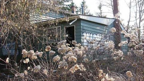 Death by Dora - 19.jpg