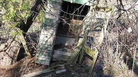 Death by Dora - 20.jpg