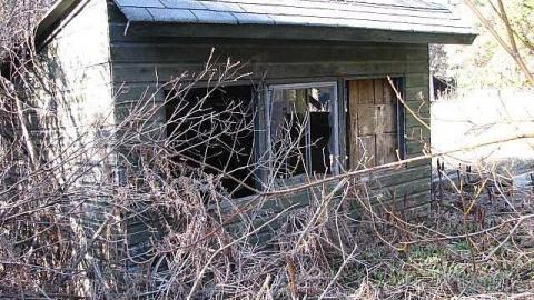 Death by Dora - 21.jpg