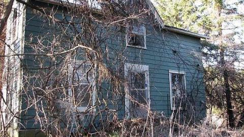 Death by Dora - 25.jpg