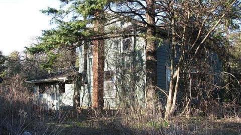 Death by Dora - 27.jpg