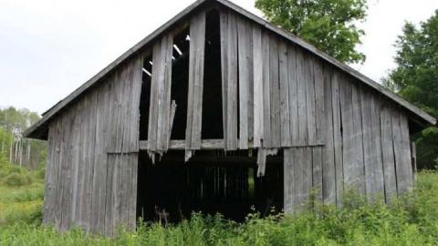 Gallery - IMG_0522.jpg