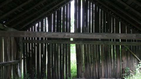 Gallery - IMG_0525.jpg