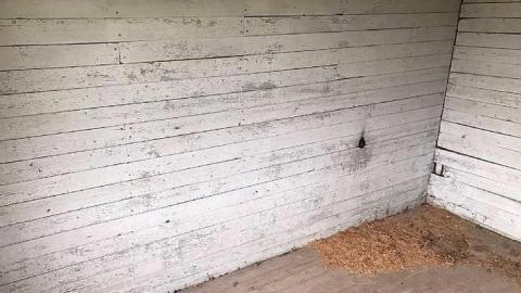 House of first settlers - House-of-First-Settlers4.jpg