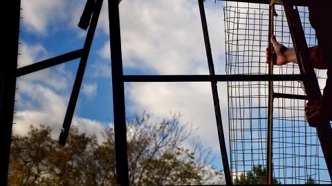 October 2016 (BT and Asylum)  - Hamilton-TB-Sanitorium247.jpg