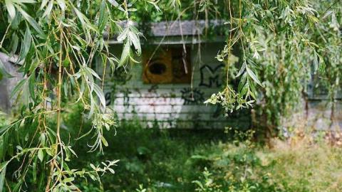 June 2016 and May 2017 cover photo