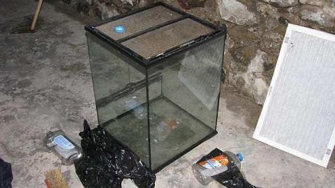 TV & Vodka - Athol-Home21.jpg