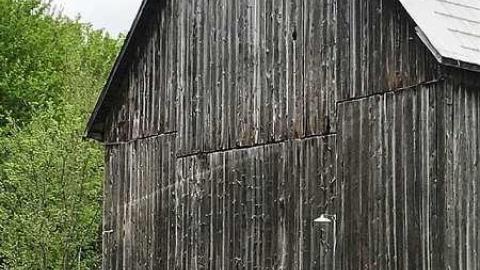 Coopers Falls Spring 17 - Coopers-Falls-Ghost-Town54.jpg