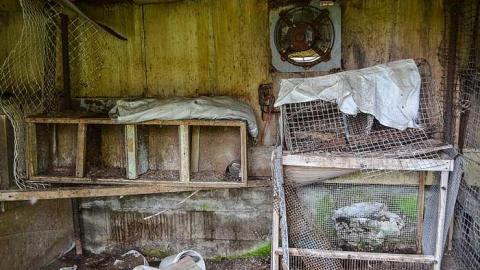 Coopers Falls Spring 17 - Coopers-Falls-Ghost-Town53.jpg