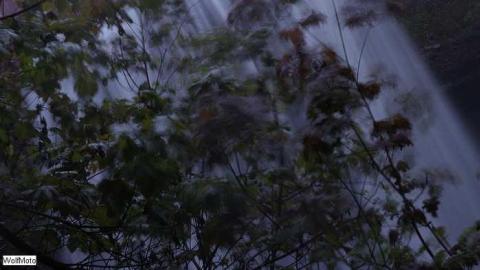 Waterfall and Mine 2017 - The-Morningstar-Mine35.jpg