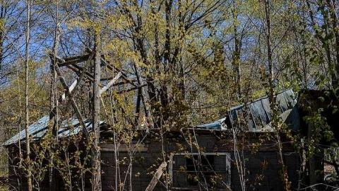 Sugar Shack Spring '17 - Sugar-Shack12.jpg