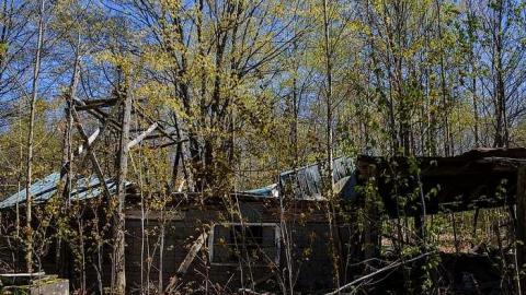 Photo from Sugar Shack Spring '17