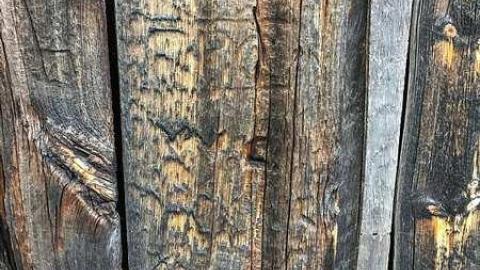 Schools Out - Germania-Ghost-Town14.jpg