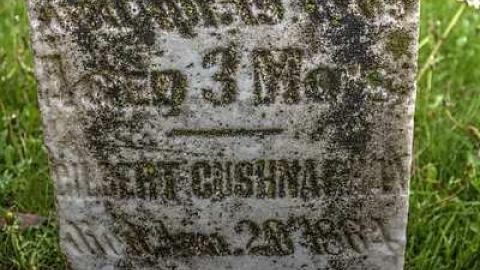 Burt on Burt - St.-George-Baptist-Church-Cem.10.jpg