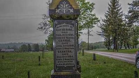 Photo from Burt on Burt