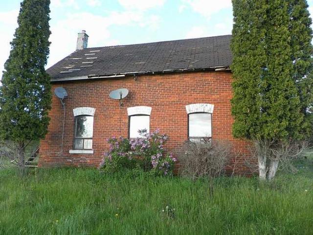 Dont Pack Just Start Over photo 2