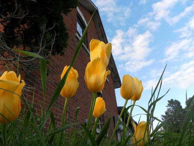 Dont Pack Just Start Over photo 3