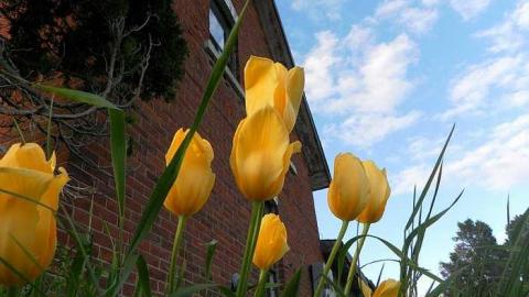 Dont Pack Just Start Over photo 3