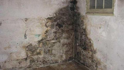 Left Town - Out-on-the-Town-Pt.-226.jpg