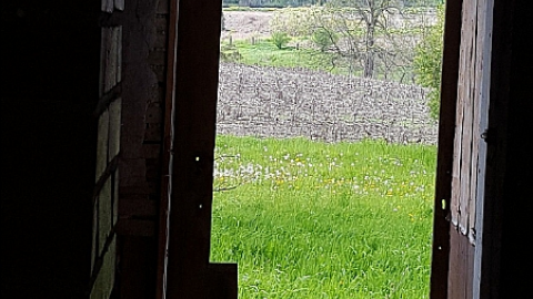 May 2017 - k-IMG_1951.PNG