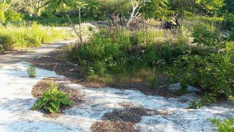 Prudhommes Landing - Prudhommes-Landing-Inn123.jpg