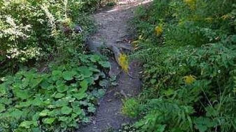 Blue Ghost Tunnel - Blue-Ghost-Tunnel--Merritton148.jpg