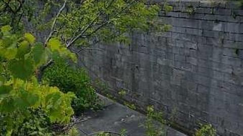 Photo from Old Welland Canal