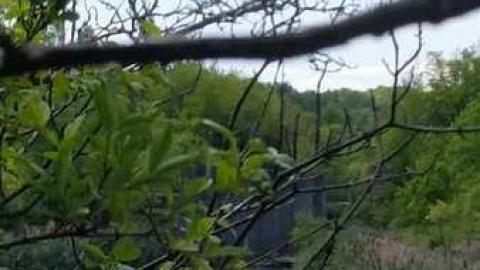 Photo from Old Welland Canal