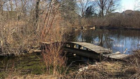 Ponds House - House-In-The-Swamp167.jpg