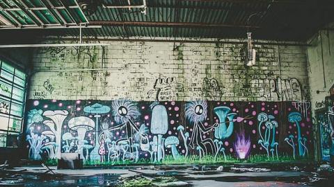 2017-05-30 - Garage-Across-from-Camp-30122.jpg