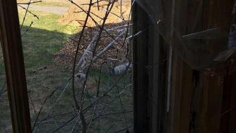 Gone But Not Forgotten - Gone-But-Not-Forgotten29.jpg