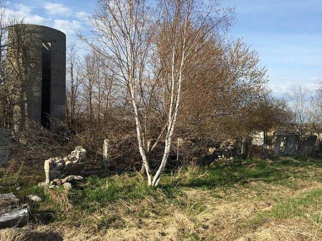 Gone But Not Forgotten photo 4