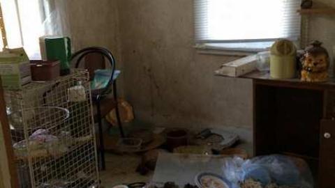 Gone But Not Forgotten - Gone-But-Not-Forgotten18.jpg