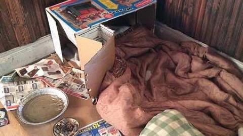 Creepiest Vibes - IMG_4769.jpg