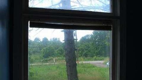 Creepiest Vibes - DSC_0726.jpg