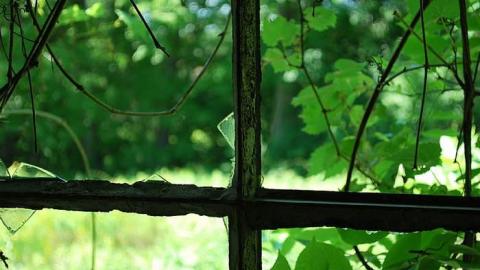 Photo from Camp 30 Garage