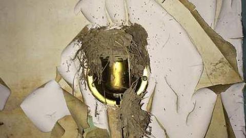 Yellow House - Yellow-House8.jpg